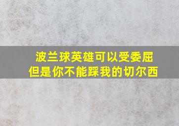 波兰球英雄可以受委屈但是你不能踩我的切尔西