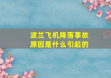 波兰飞机降落事故原因是什么引起的