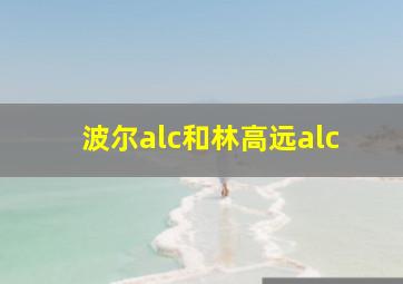 波尔alc和林高远alc