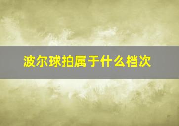 波尔球拍属于什么档次