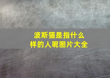 波斯猫是指什么样的人呢图片大全