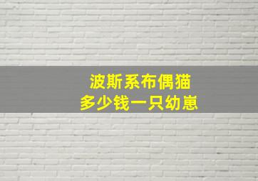 波斯系布偶猫多少钱一只幼崽