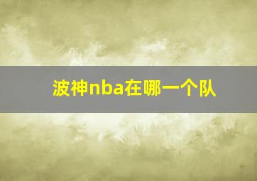 波神nba在哪一个队