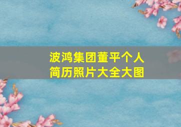 波鸿集团董平个人简历照片大全大图