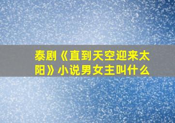 泰剧《直到天空迎来太阳》小说男女主叫什么