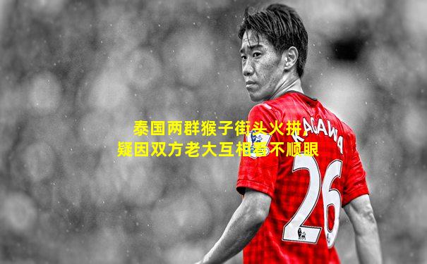 泰国两群猴子街头火拼,疑因双方老大互相看不顺眼