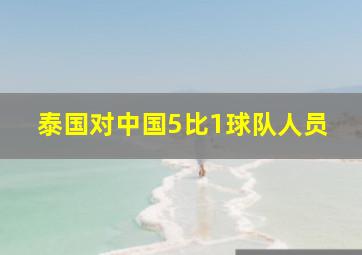 泰国对中国5比1球队人员