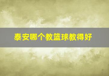 泰安哪个教篮球教得好