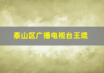 泰山区广播电视台王琨