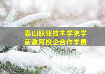 泰山职业技术学院学前教育校企合作学费