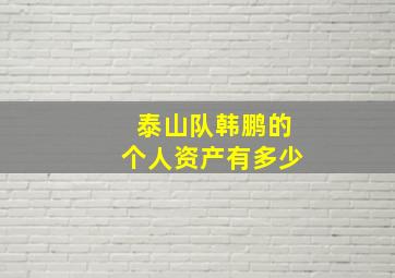 泰山队韩鹏的个人资产有多少