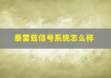 泰雷兹信号系统怎么样