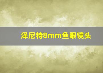 泽尼特8mm鱼眼镜头