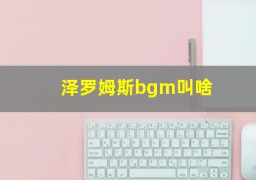 泽罗姆斯bgm叫啥