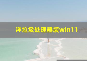 洋垃圾处理器装win11