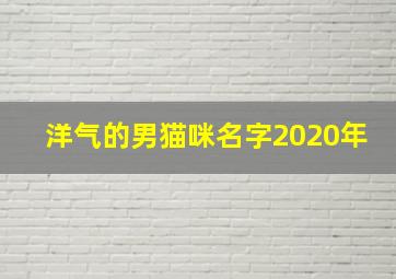 洋气的男猫咪名字2020年