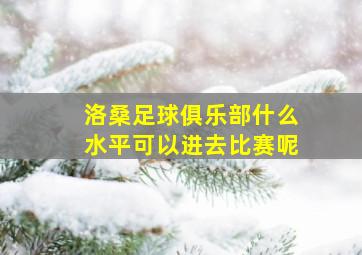 洛桑足球俱乐部什么水平可以进去比赛呢