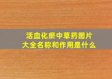 活血化瘀中草药图片大全名称和作用是什么