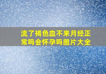 流了褐色血不来月经正常吗会怀孕吗图片大全