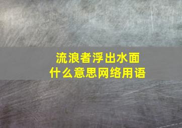 流浪者浮出水面什么意思网络用语