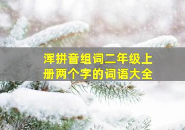 浑拼音组词二年级上册两个字的词语大全