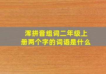 浑拼音组词二年级上册两个字的词语是什么