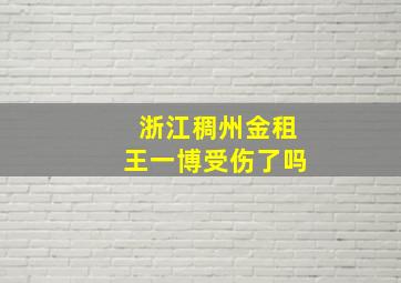 浙江稠州金租王一博受伤了吗