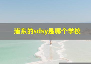 浦东的sdsy是哪个学校