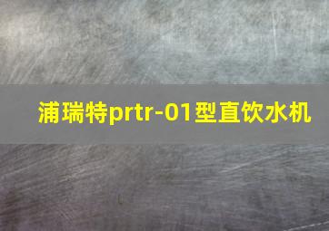 浦瑞特prtr-01型直饮水机