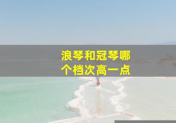 浪琴和冠琴哪个档次高一点