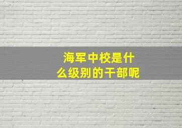 海军中校是什么级别的干部呢