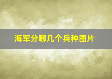 海军分哪几个兵种图片