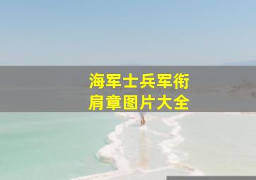 海军士兵军衔肩章图片大全