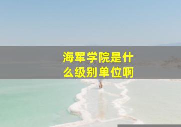 海军学院是什么级别单位啊