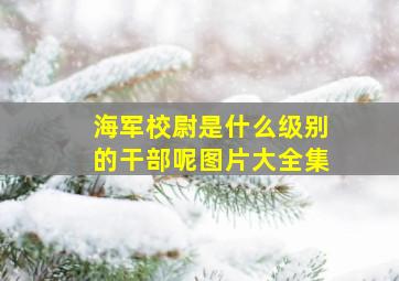 海军校尉是什么级别的干部呢图片大全集