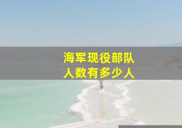 海军现役部队人数有多少人