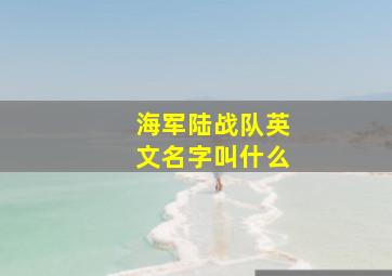 海军陆战队英文名字叫什么