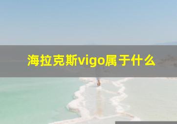 海拉克斯vigo属于什么