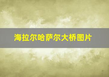 海拉尔哈萨尔大桥图片