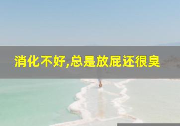 消化不好,总是放屁还很臭