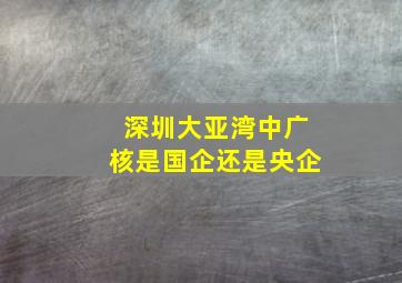 深圳大亚湾中广核是国企还是央企