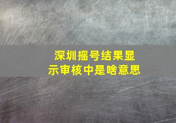 深圳摇号结果显示审核中是啥意思