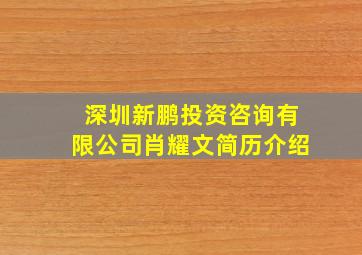 深圳新鹏投资咨询有限公司肖耀文简历介绍