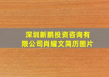 深圳新鹏投资咨询有限公司肖耀文简历图片