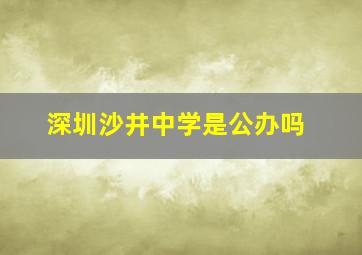 深圳沙井中学是公办吗