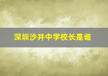 深圳沙井中学校长是谁