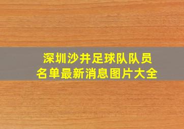 深圳沙井足球队队员名单最新消息图片大全