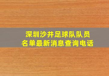 深圳沙井足球队队员名单最新消息查询电话