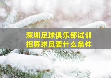 深圳足球俱乐部试训招募球员要什么条件