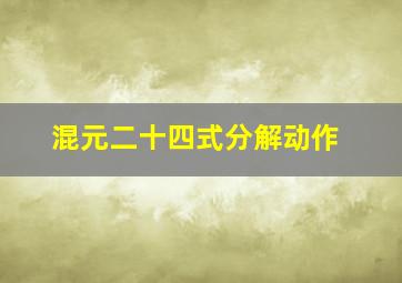 混元二十四式分解动作